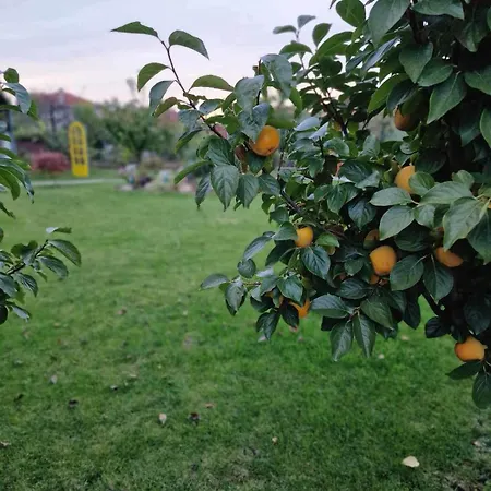 къща на цветните струни Villa Kljutsch
